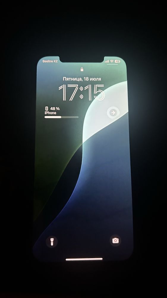 Айфон 12 pro max