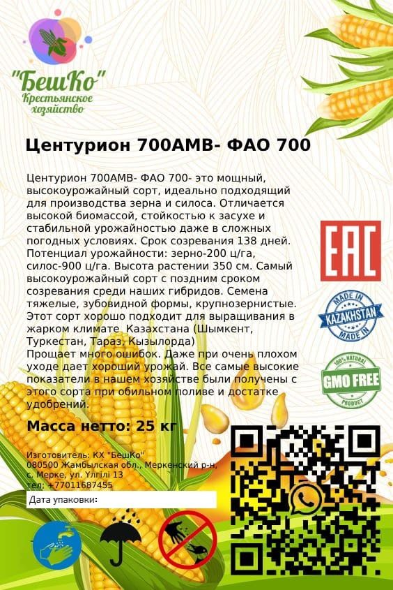 Силос жүгері тұқымы. Жүгері ұрығы. Жугери урыгы