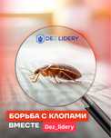 Гарантия Качество Безопасно Дезинфекция клопов Тараканов қандала бүрге