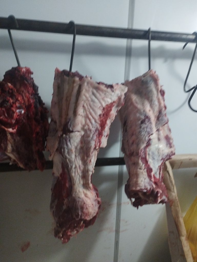 Задние ляжки говядина короткое ребро говядина баранина