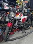 Мопед мотоцикл Peda Alpha 125