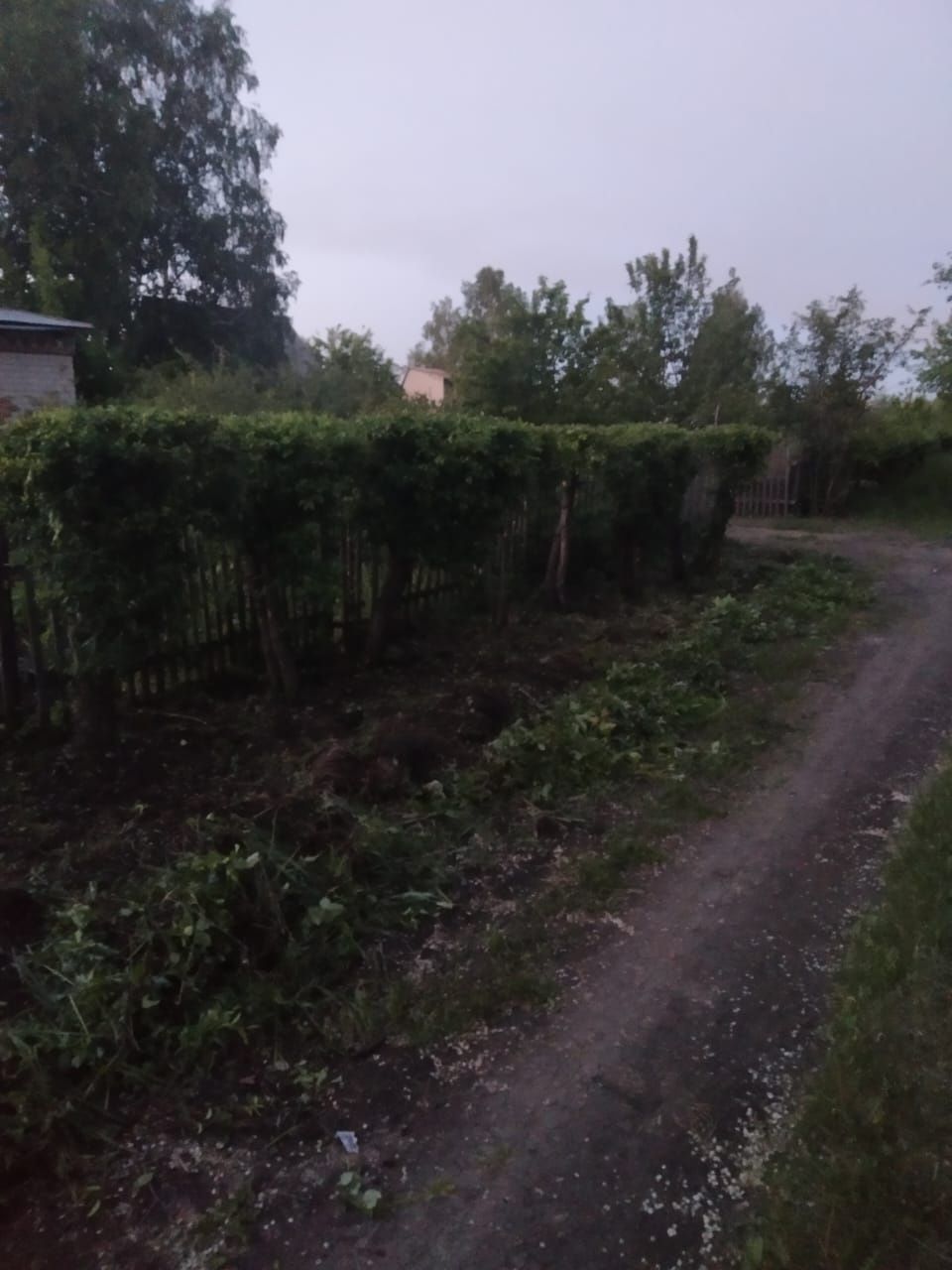 Продам дачу с/т Дружба 10 соток