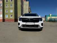Kia Seltos 2024 год