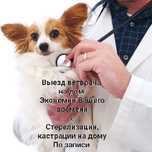 Ветеринарная клиника