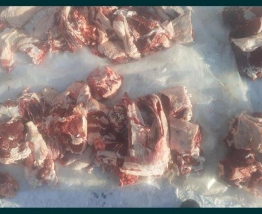 Продам говядину телочки