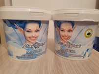 Клей акриловый универсальный ALINA Paint MASTIKA 1.5 кг (Новый)