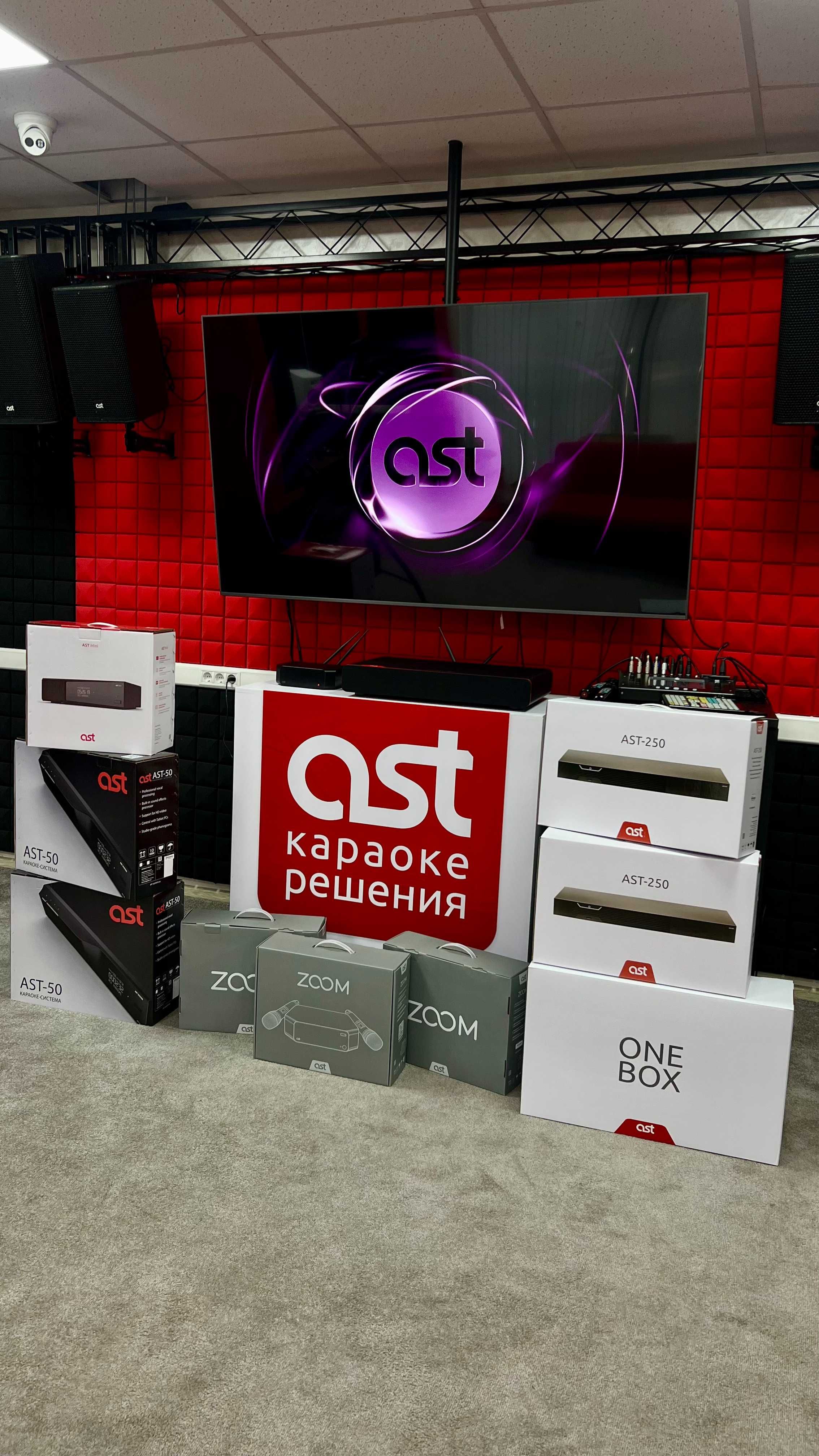 Профессиональное караоке AST Mini для дома, караоке-бара и кабинок