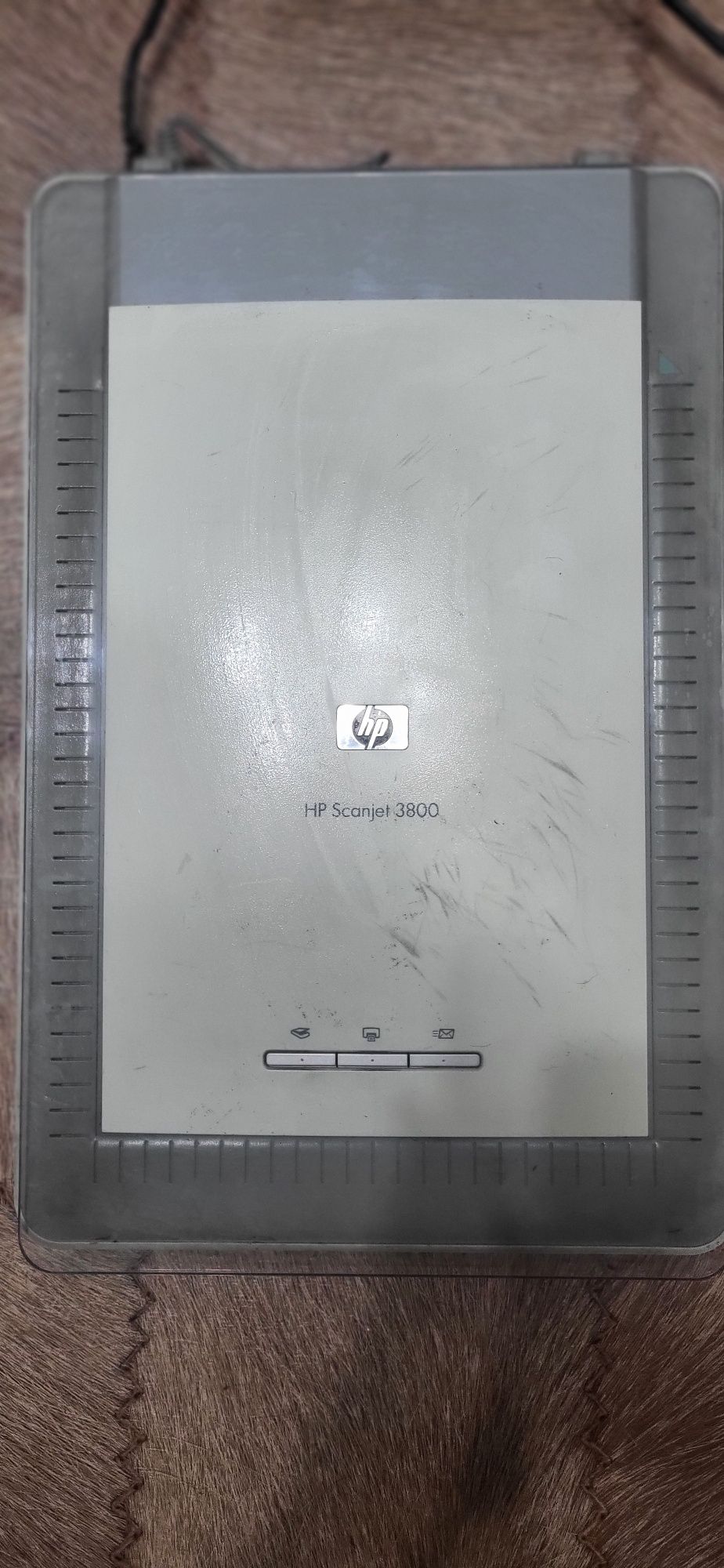 Сканер HP Scanjet 3800