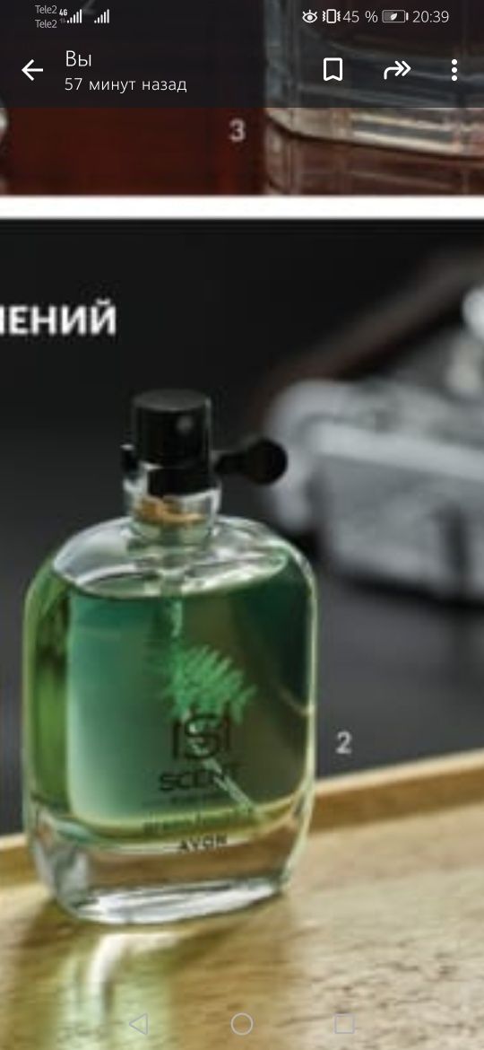 ЦВЕТОЧНАЯ  посадка, деревьев и цветов,  в лучших условиях!