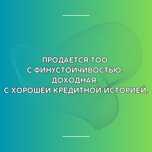 ТОО с финустойчивостью