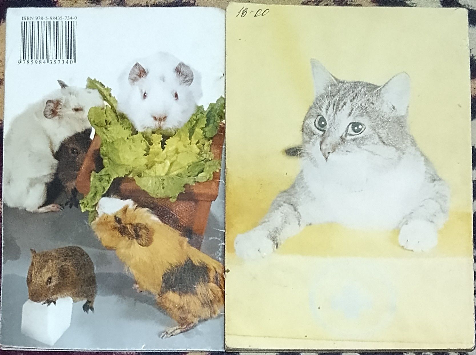 Продаю книги по разведению животных: Морские свинки,Для любимой кошки.