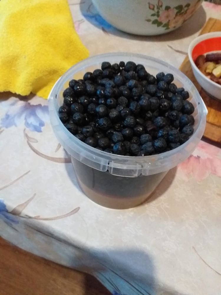 Чёрная рябина