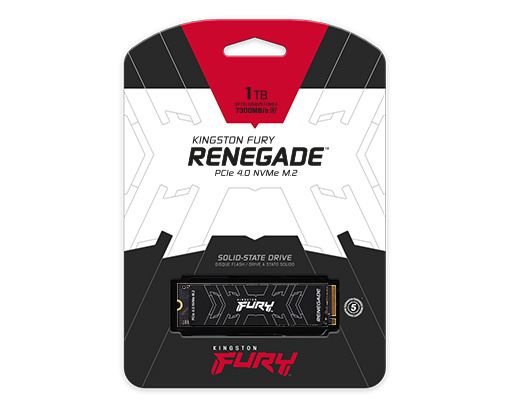 SSD диск Kingston FURY 1TB (M.2 NVMe)