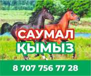 Саумал көзбе көз сауып береміз, қымыз бар