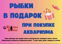 Акция! Купи аквариум-получи рыбок в подарок