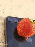 iPhone 7 Plus 256gb