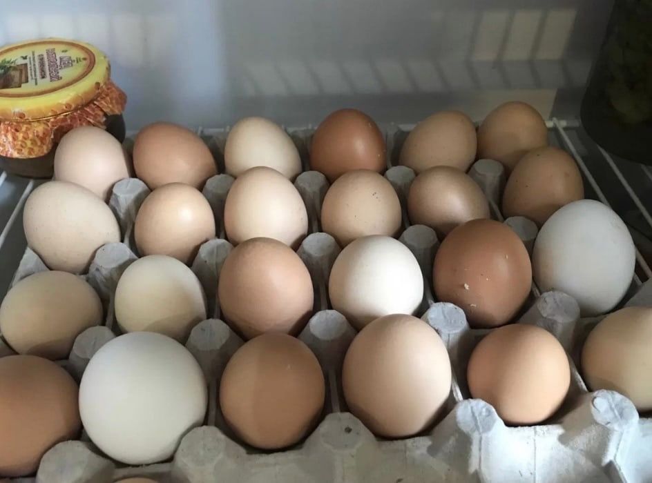 Домашние яйца куриные!