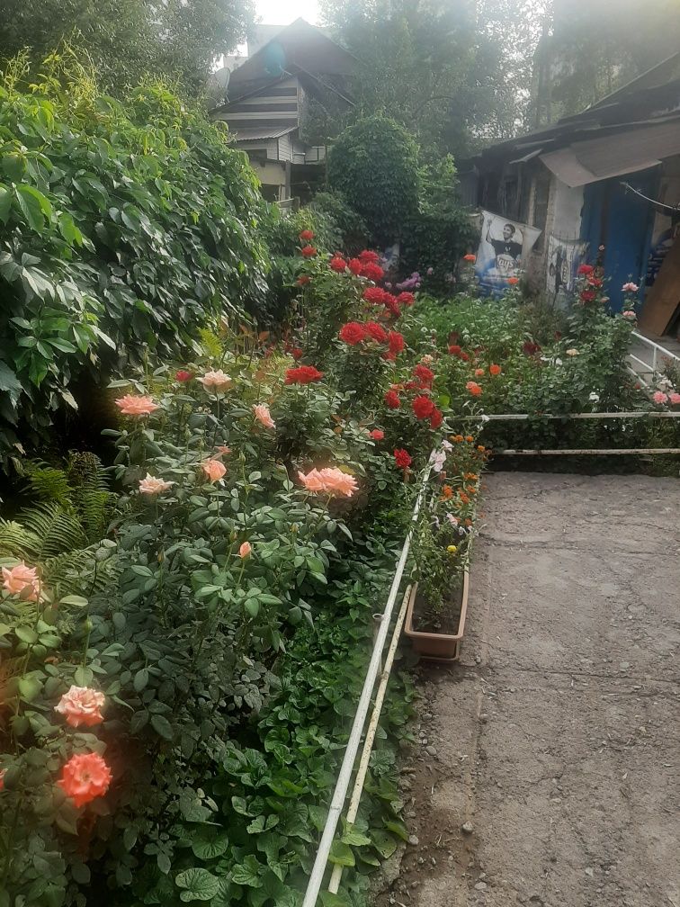 Дом на Саяхате в 3 уровня