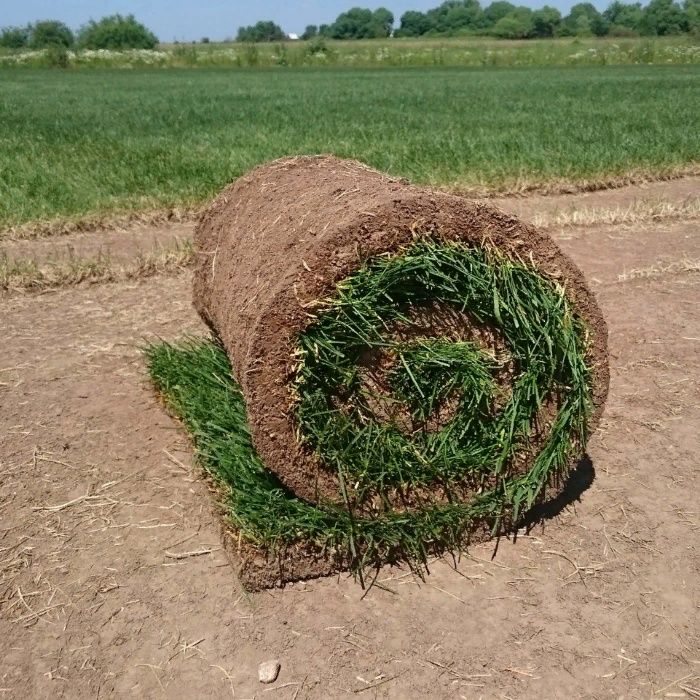 Гидропосевной газон