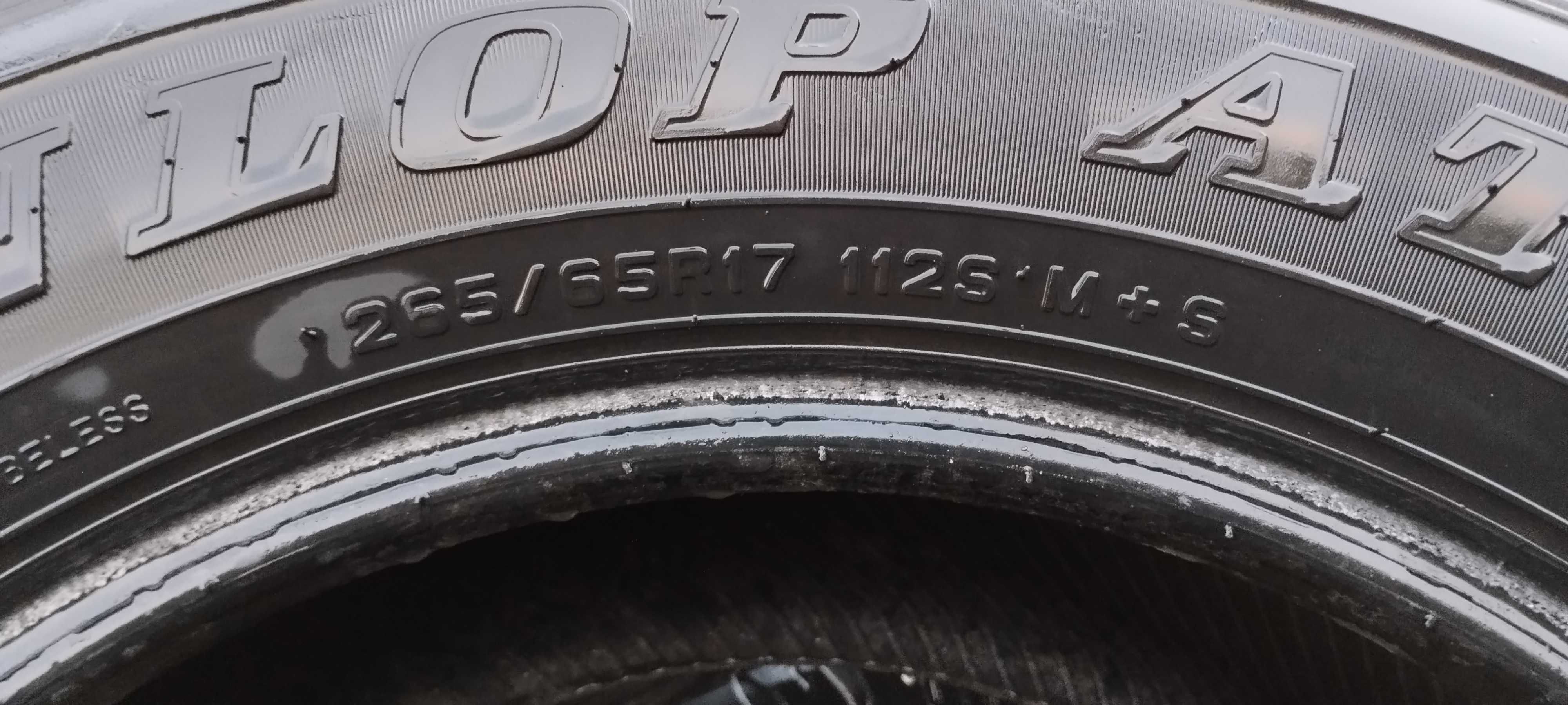 Шина 265/65R17 112S M + S