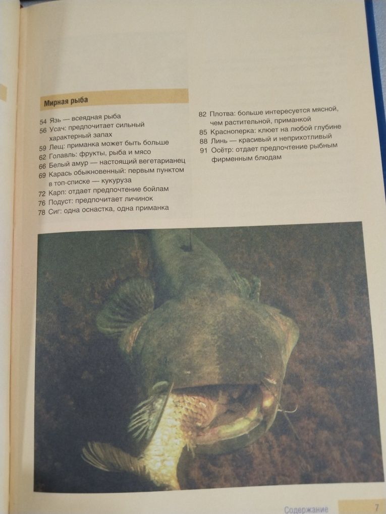 Книга о Рыбалке. Иллюстрированный справочник