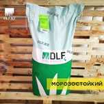 Газон в Астане: 3 вида (все в наличии)
