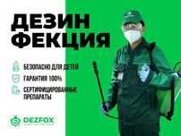 Дезинсекция Дезинфекция Уничтожение Клопов Тараканов Муравьев Вши