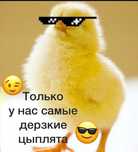 Бройлер суточный. Утята