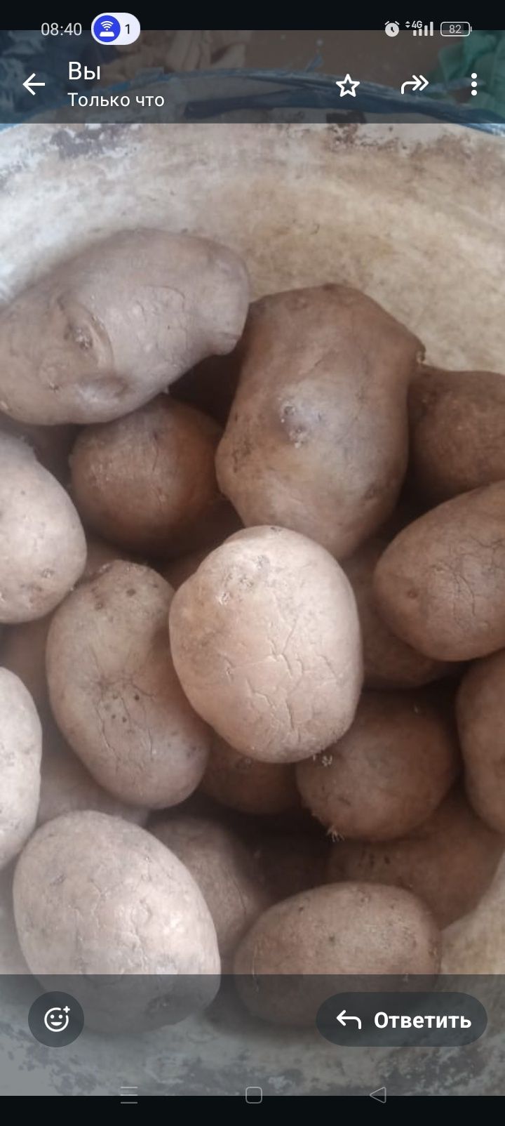 Продам домашний картофель