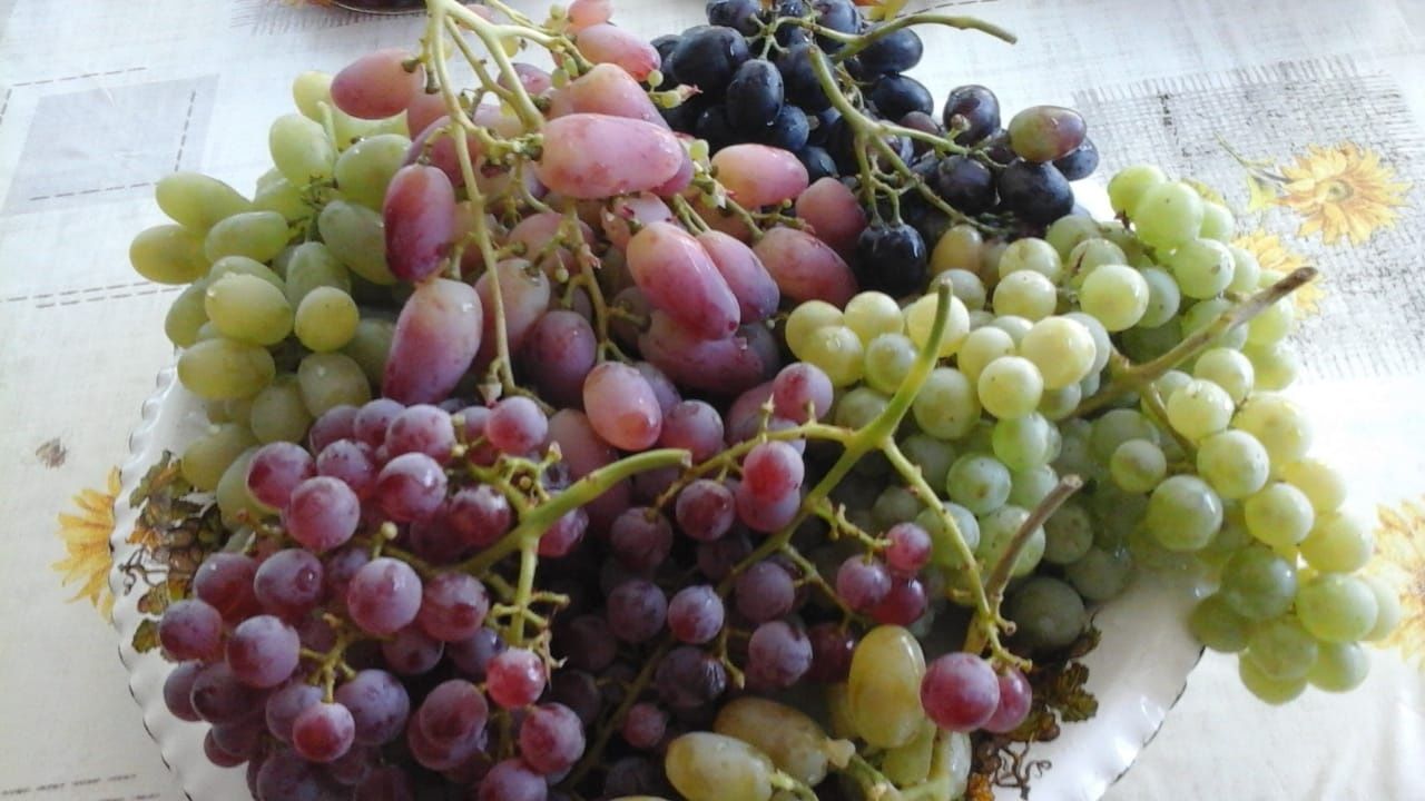 Продам 3 комн. добротный дом