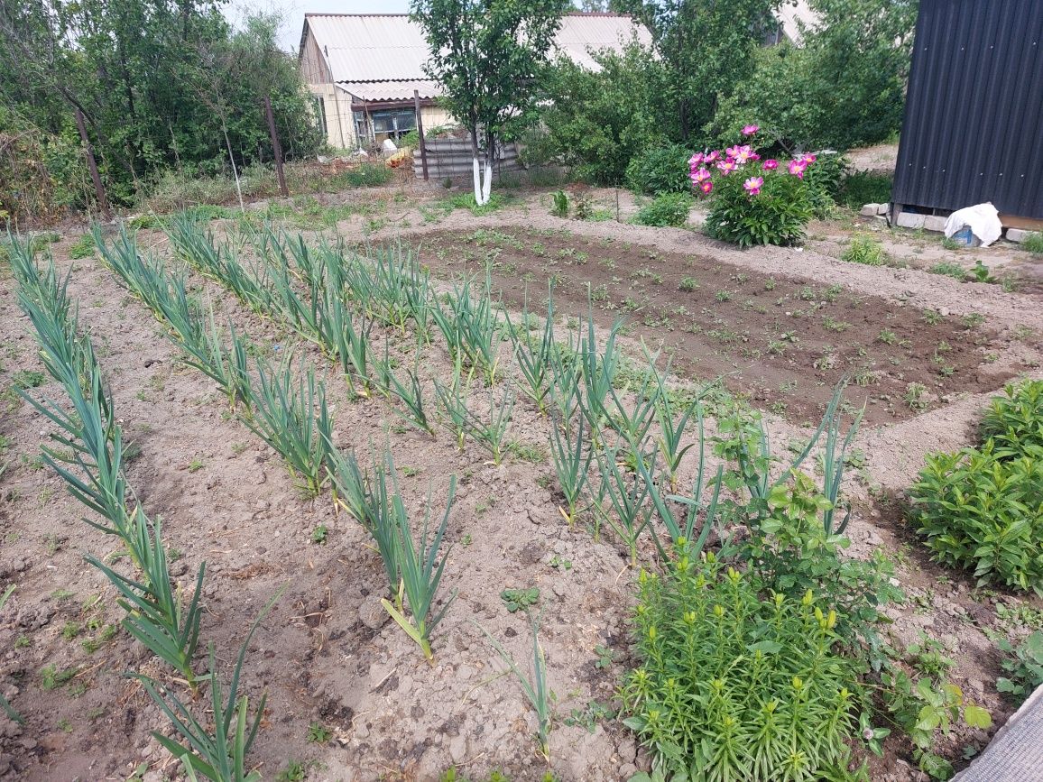 Продам дачу на Уйтасе срочно