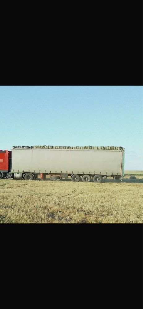 Шөп, сено, тюк, рулон, сатамын. Жеткізу.