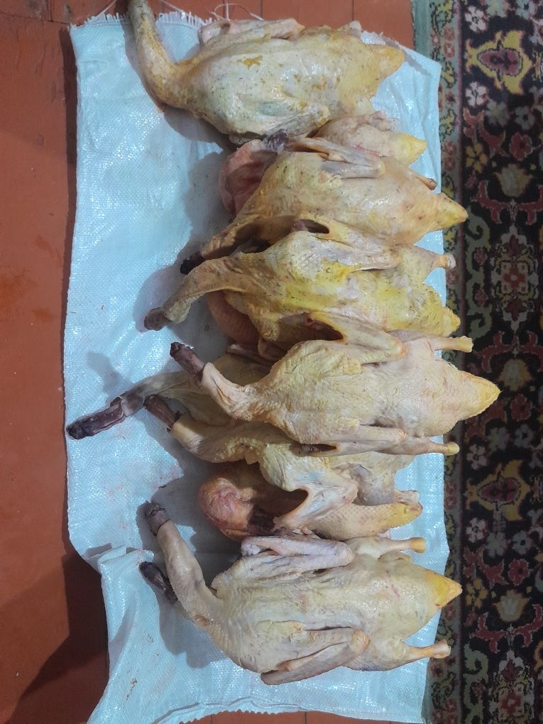 Мясо индюка, утки, цесарки продаются