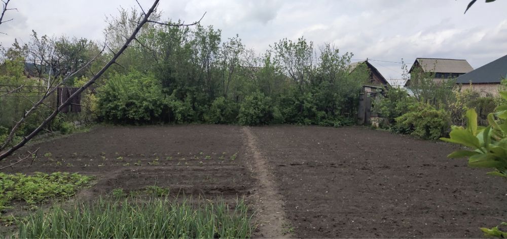 Продам дачу на шайкоргане