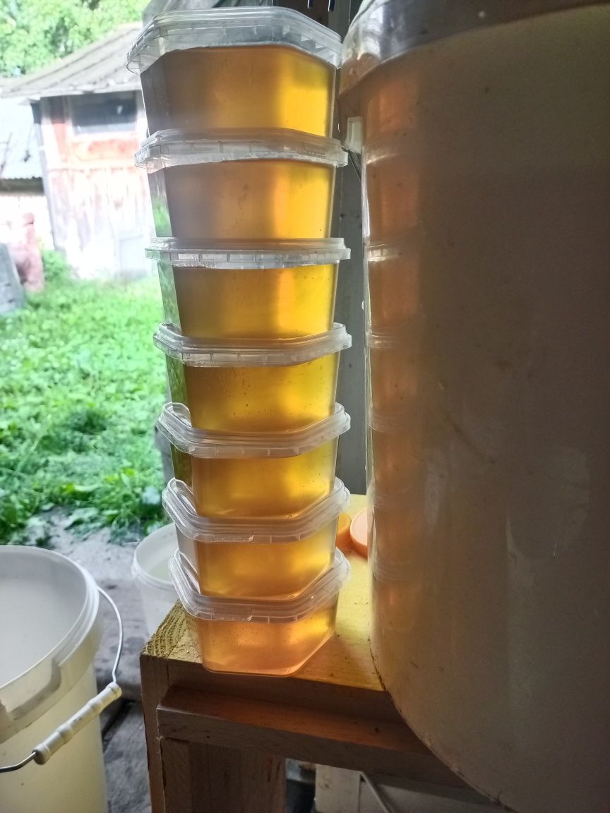 Продам свежий мёд