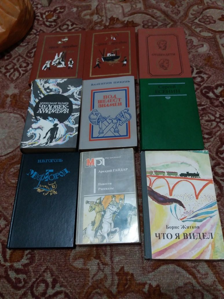 Книги разные: классика, сказки, технические.