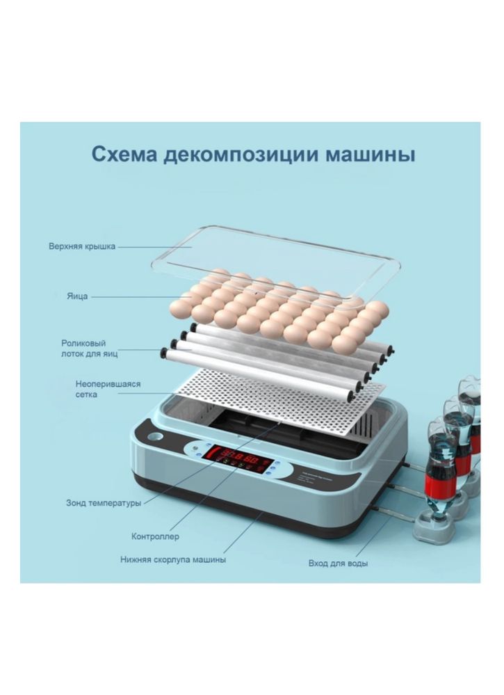 Фермер инкубатор, вместимость: 36 шт
