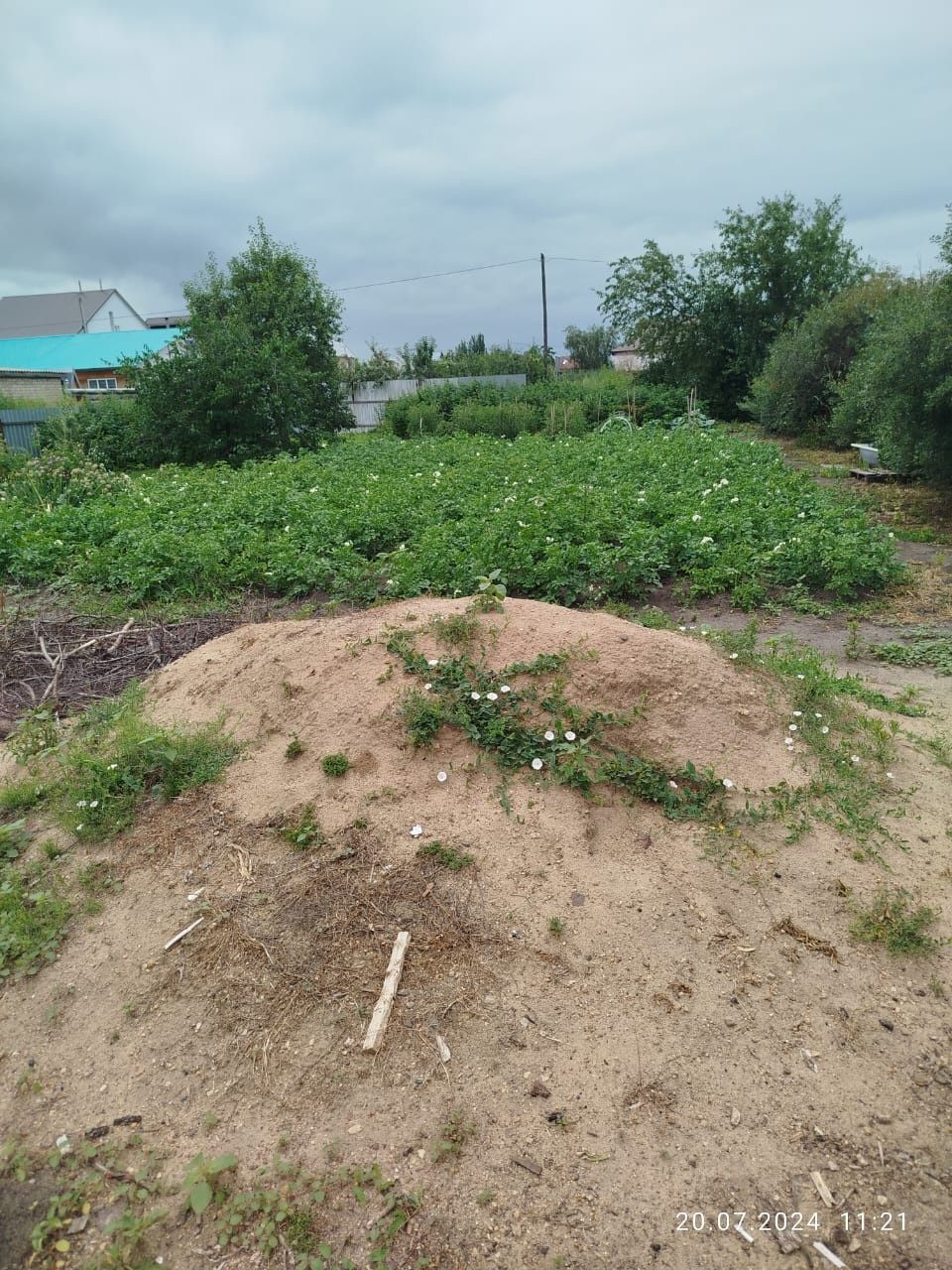Продам 16 соток земли. Рабочий поселок.