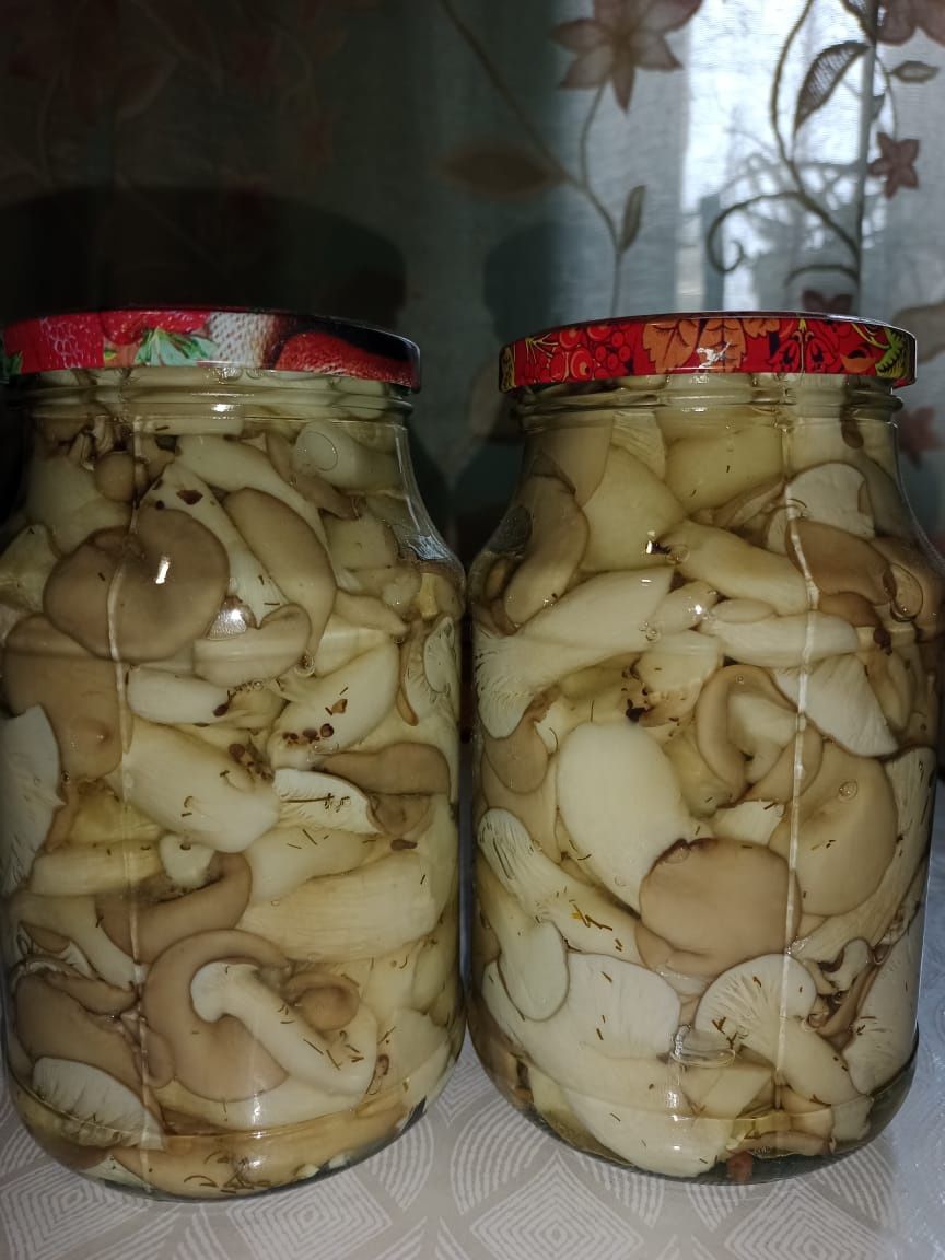 Грибы вёшенки маринованные домашние