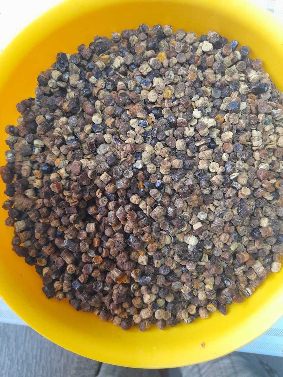 Продам пергу пчелинную