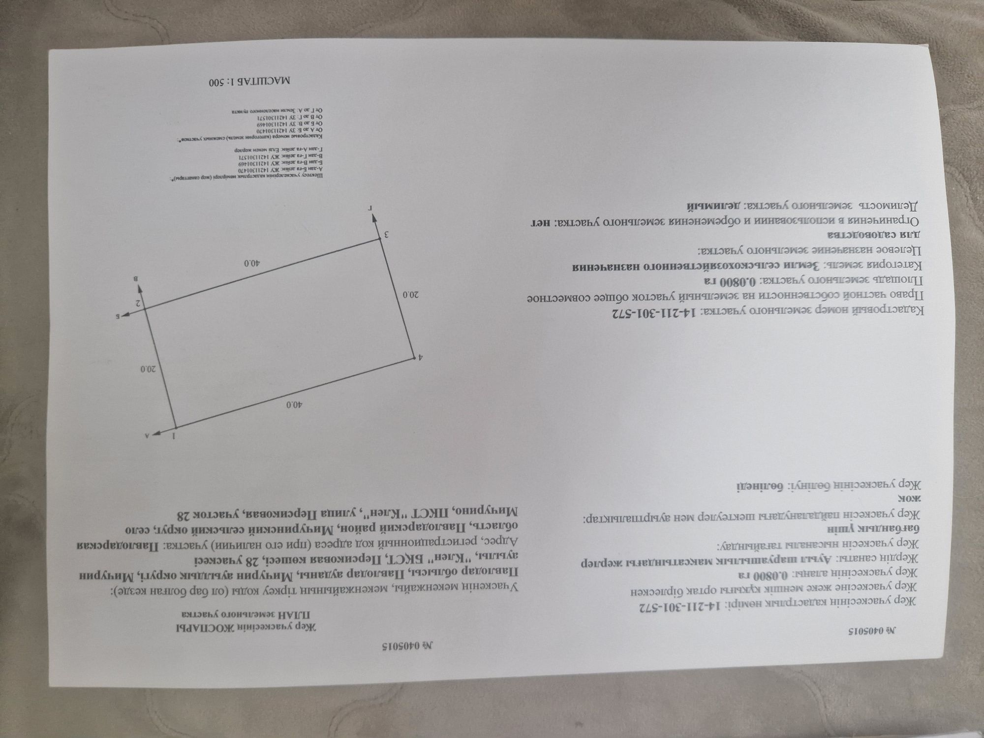 Продам два участка  садоводство клён