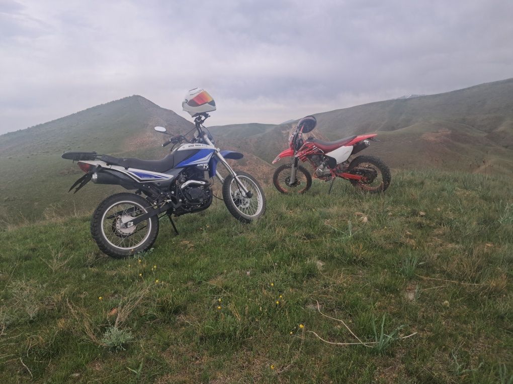 Racer Panter 250