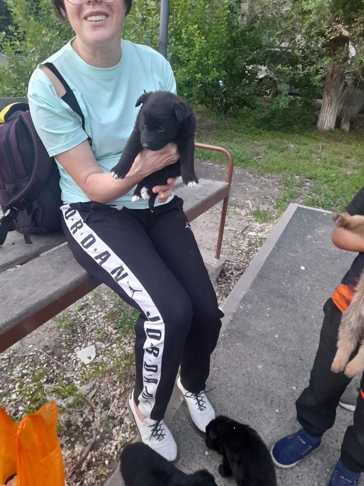 Подарите хвостиком дом! САМЫЕ лучшие щенки в OLX