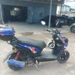 Vento Bumer 2021