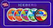 iceberg,velo,kasta,zuko в наличии 2900 шайба