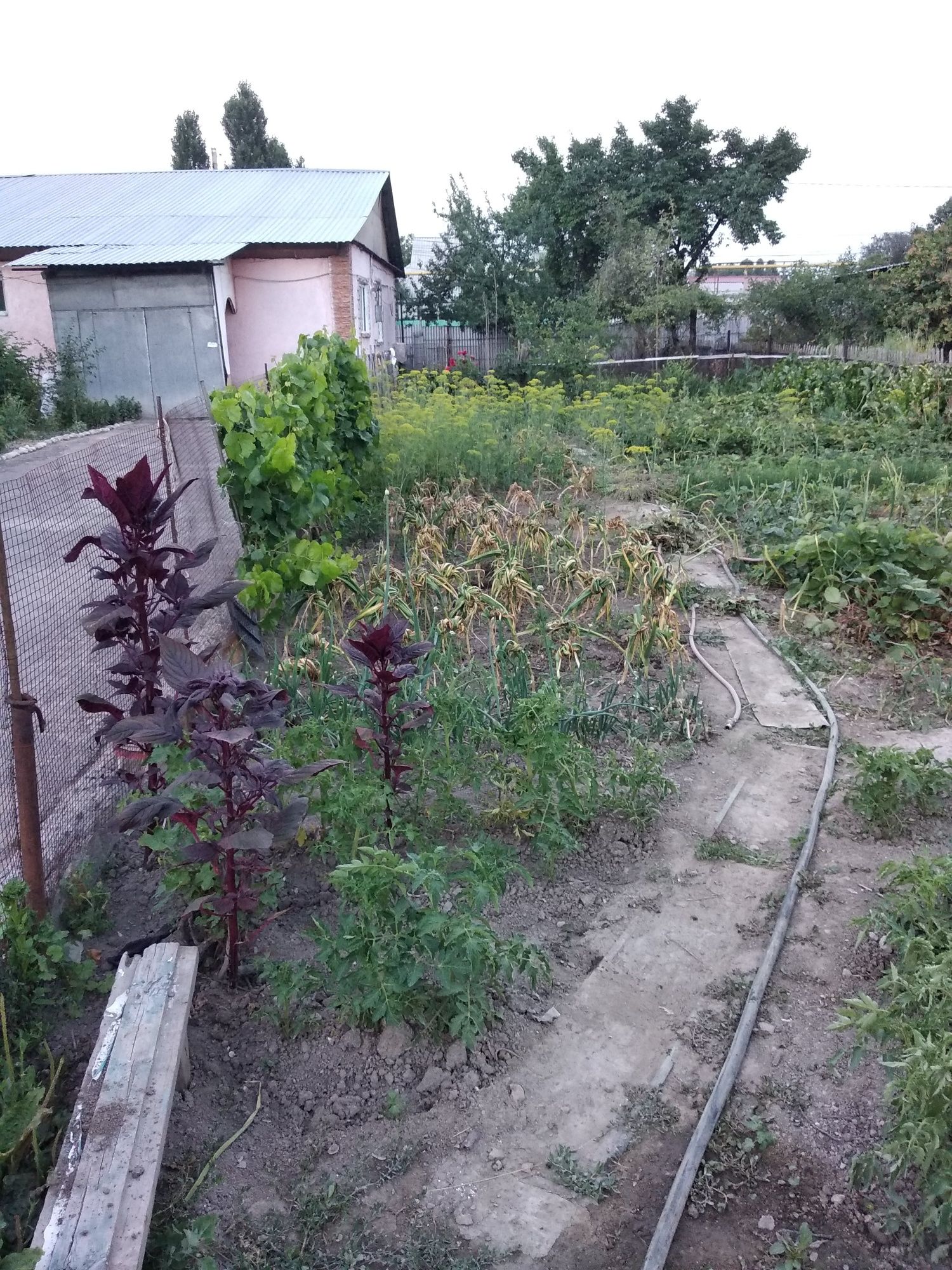 Продам участок и дом