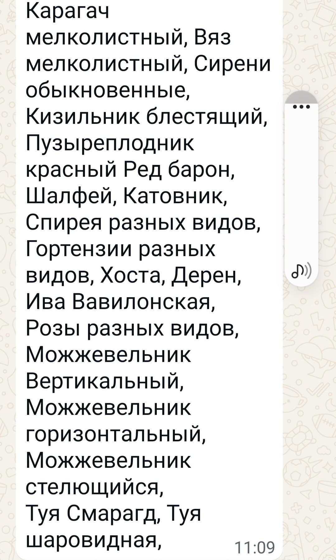 Продам хвойные и плодовые саженцы, кустарники, цветы