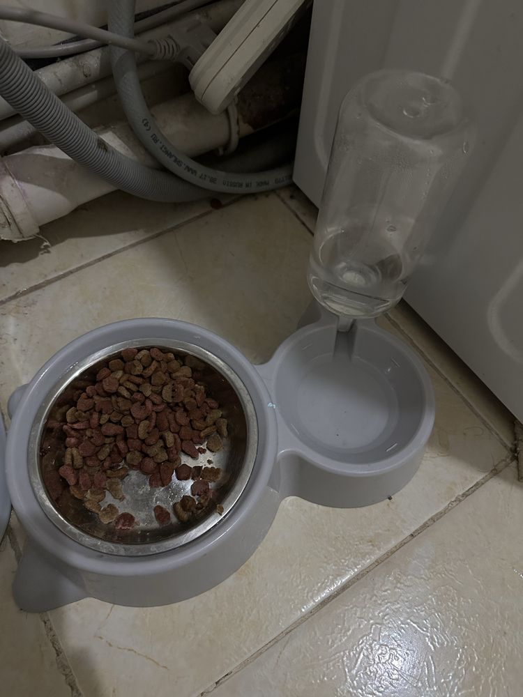 Шотландцы продае