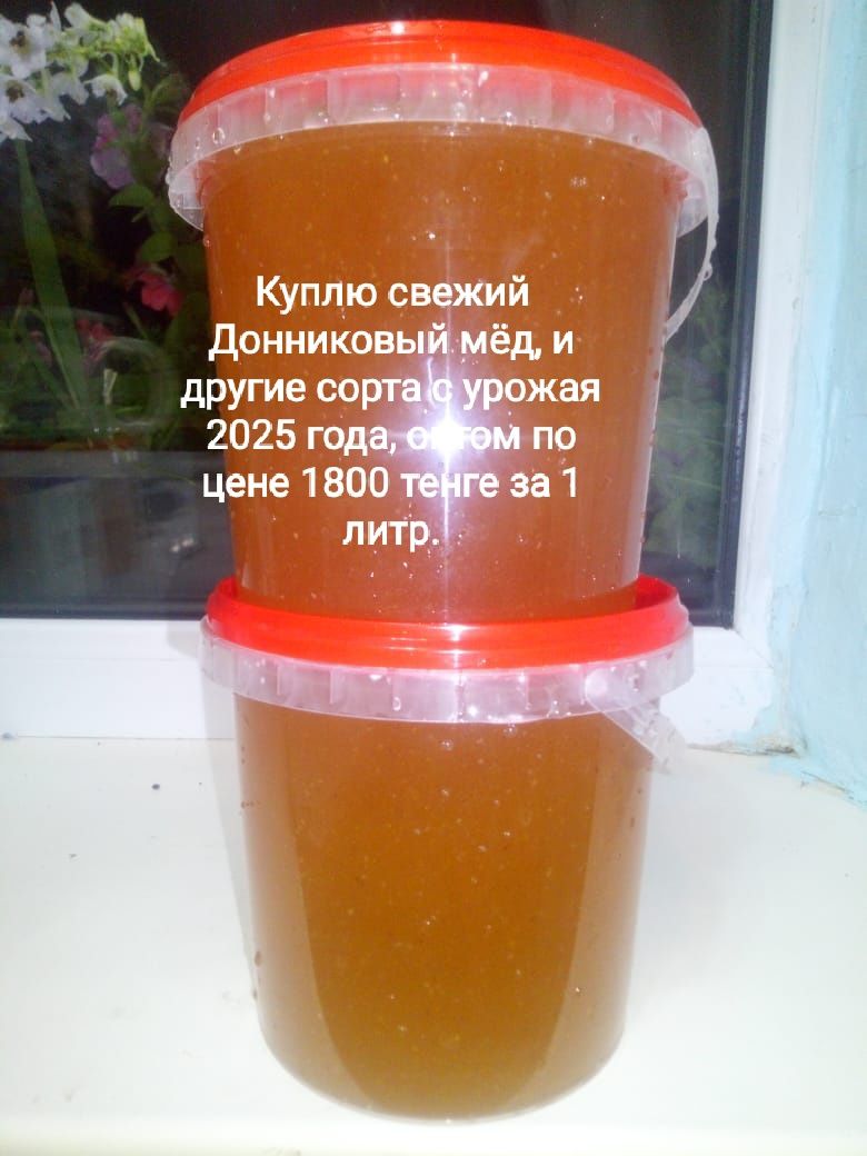 Свежий Донниковый мёд и другие сорта с 2025 года