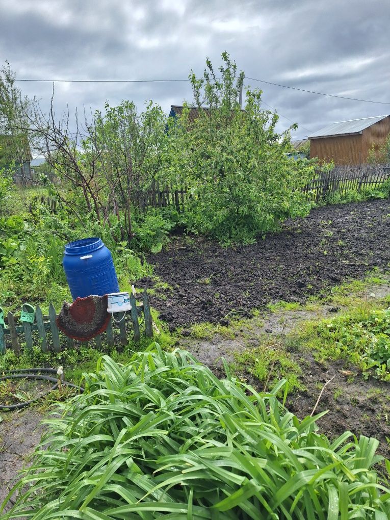 Продам дачу в с/т Мотор
